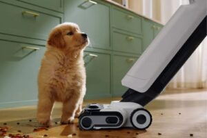 Máy hút bụi lau nhà Roborock Flexi Pro