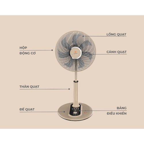 vn 11134275 7ras8 mdmzsu95sgbwfd